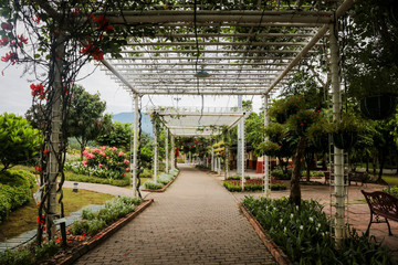The walkway is decorated with trees and flowers in the garden.
