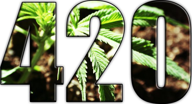 Marijuana 420 Logo With White Background