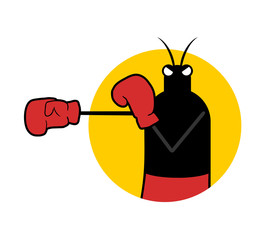 Boxer insect illustration © RATOCA