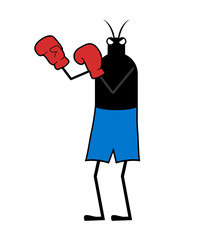 Boxer insect illustration © RATOCA