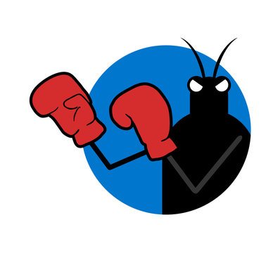 Boxer insect illustration