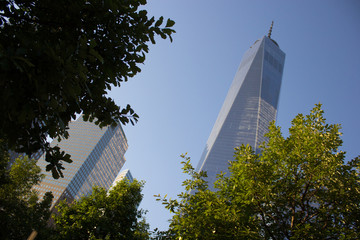 New York  City Money 