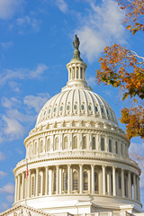 The dome of US Capitol building and colorful autumn tree foliage. Statue of Freedom on top of US...