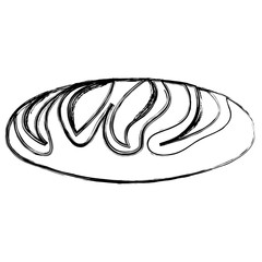 delicious bread isolated icon vector illustration design