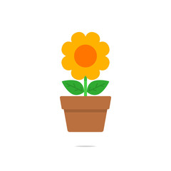 Flower in a pot vector isolated