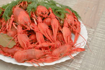 Boiled river crayfish on a plate. Seafood. Snack to beer.