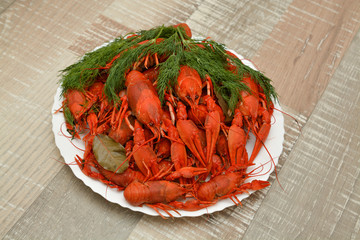 Boiled river crayfish on a plate. Seafood. Snack to beer.