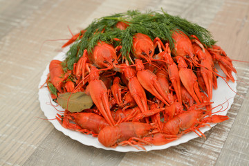 Boiled river crayfish on a plate. Seafood. Snack to beer.