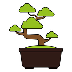 Bonsai tree isolated icon vector illustration design