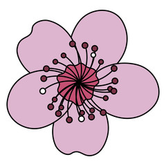 japanese flower isolated icon vector illustration design