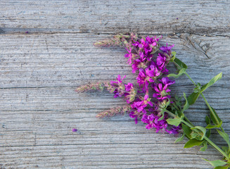 Wildflowers on the texture background of old wood