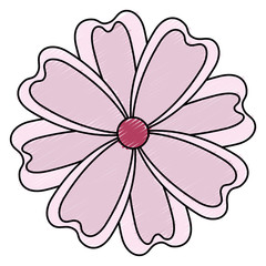 japanese flower isolated icon vector illustration design