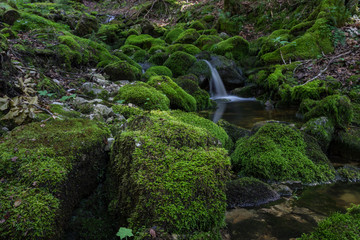 Wasserfall mit Moos 3