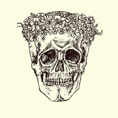 Skull in wreath of wildflowers, daisies and poppies, hand drawn doodle, sketch in woodcut style, black and white vector illustration