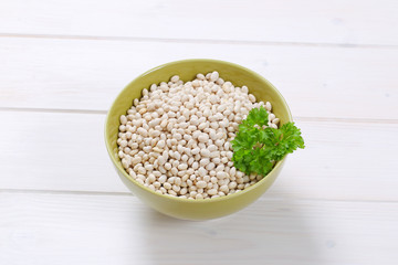 raw white beans