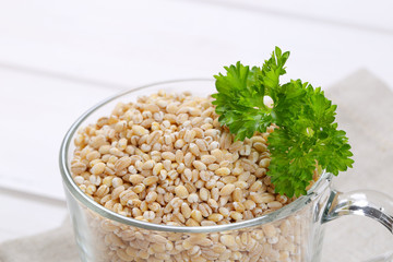 grains of pearl barley