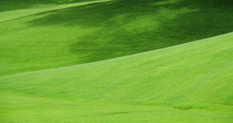 Obraz premium 芝生のじゅうたん