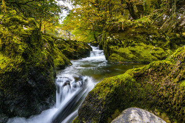 Green Autumn Stream in the Lake District