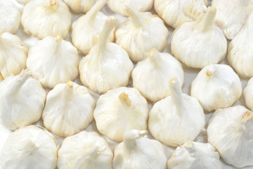 Garlic bulb arranged in a white background.