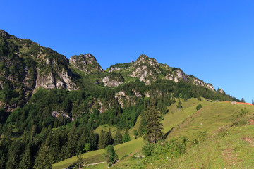 Fototapeta na wymiar Summit of Mount Hochfelln, view from middle Station