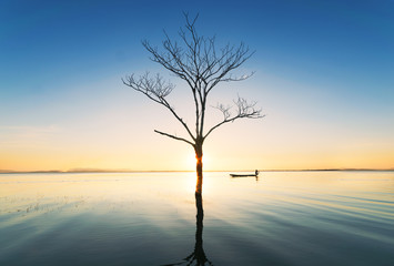Fototapeta na wymiar beautiful sunset of river view with dry tree reflex in water