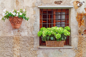 Fototapeta na wymiar Beautiful wall of old house in small Italian city Sarzana. Northern Italy, Liguria. Cozy patterns in the stone wall. Window decorated of flowers. Clay pot with flowers on the wall of the building.