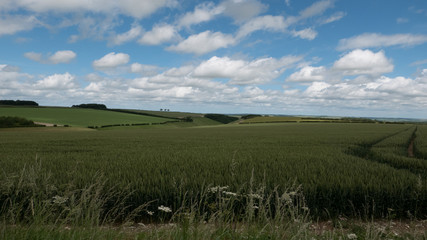 Yorkshire Wolds