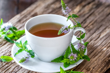  Tee - Minze - Pfefferminze - Mentha - Kräuter - Naturheilkunde -
