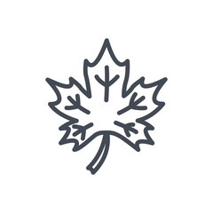 Thanksgiving day holiday colored icon maple leaf