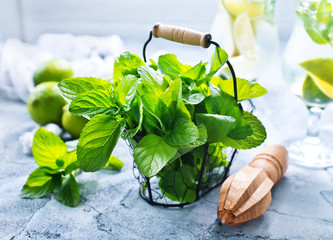 ingredients for mojito