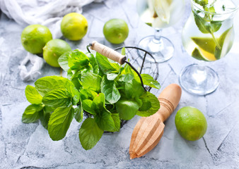 ingredients for mojito