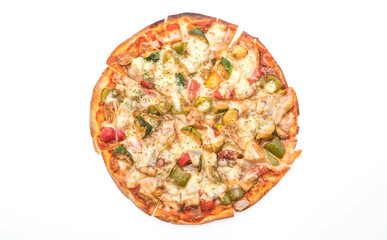 vegetarian pizza on white background