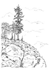 Obraz premium rock with trees