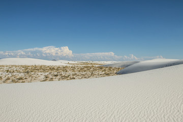 Fototapeta na wymiar White Sands