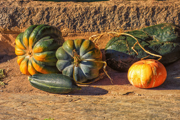 Pumpkins