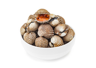 Cardiidae shellfish in white bowl isolated on white background