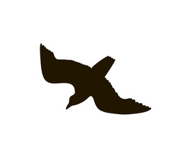 drawing silhouette of a large gull