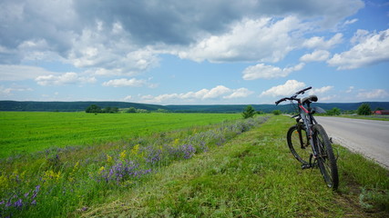 Obraz premium Поле