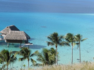 lagon polynesien