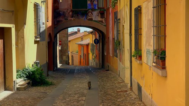 back of cat walking in the colorful streets of the medieval village of Dozza, a small gem among the architectural wonders of Italy, color graded clip
