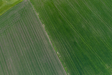 Aerial view of the green fields