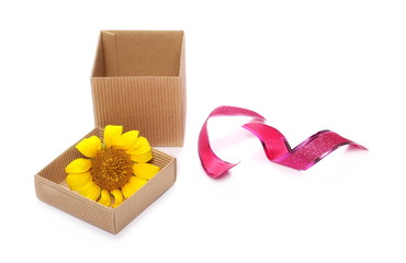 Cardboard box with sunflower and red ribbon isolated on white background