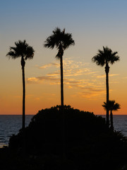 Obraz premium Silhouettes at sunset on the beach of La Barrosa, Sancti Petri, Cadiz, Spain