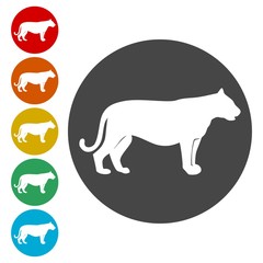 Panther, Cat icon design - Illustration 
