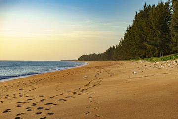 Pine beach is on the beach.