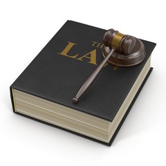 Law Book and Gavel on white. 3D illustration