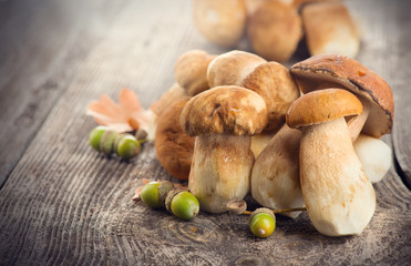 Ceps mushroom. Boletus closeup on wooden rustic table
