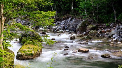Obraz premium Creek Flowing Over Rock in Rainforest