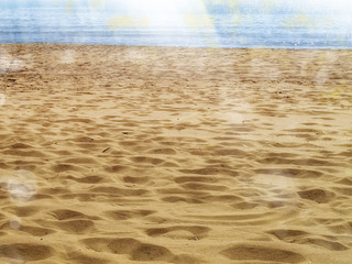 sandy beach in summer