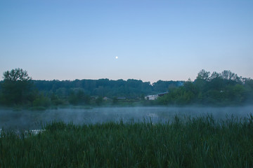 Sunrise on a foggy morning at Swamp